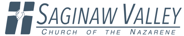 SvcNaz Logo